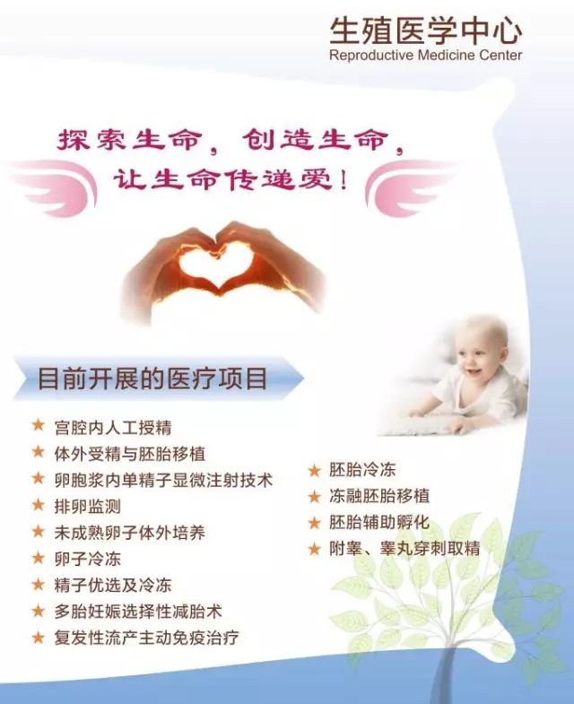 五十天胎儿