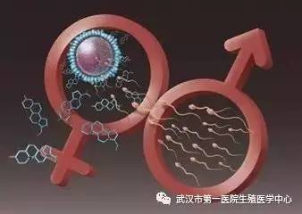 产妇