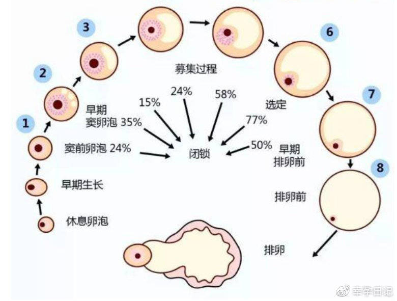 产后妊娠纹