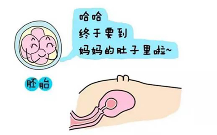 产妇内检