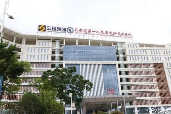 二道杠怀孕图片