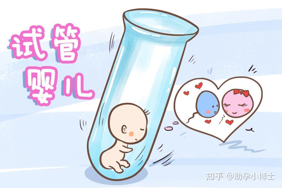 事业编小产