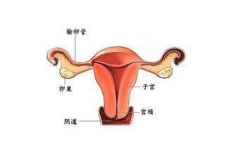 胎位低