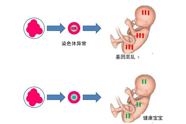 二月闹