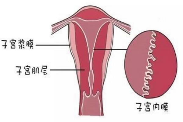 二个月宝宝