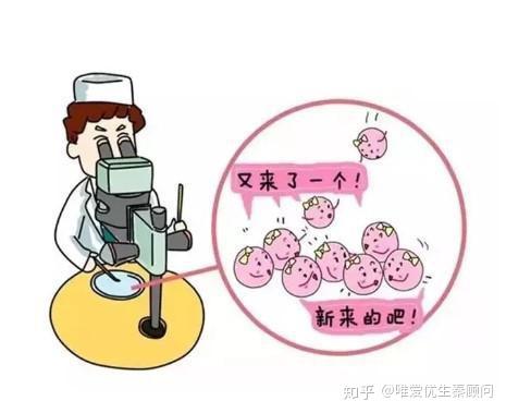 男女关系