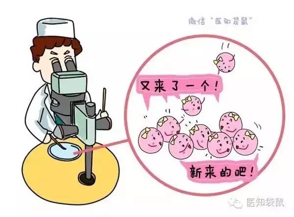 小产权房