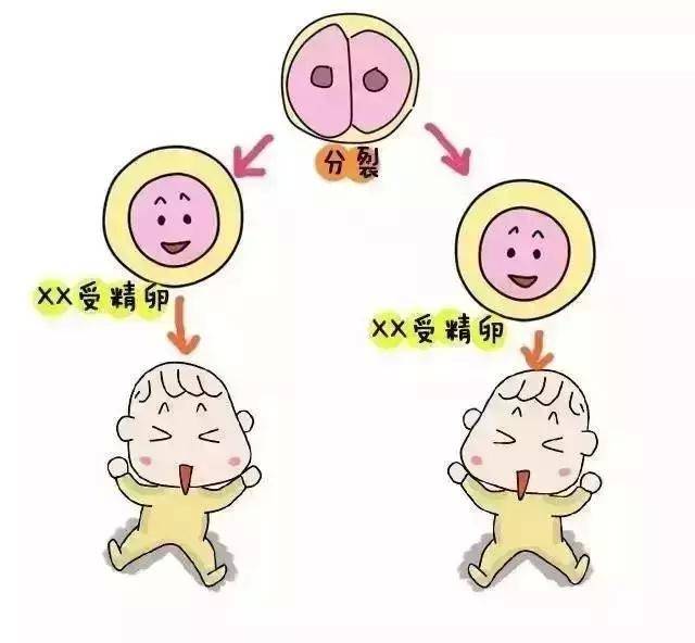 怀孕检测