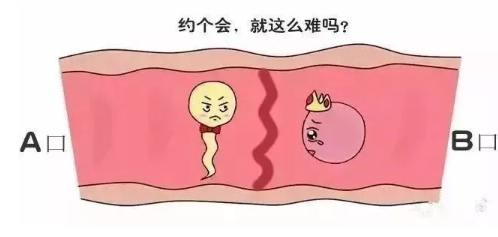 分娩体验中心