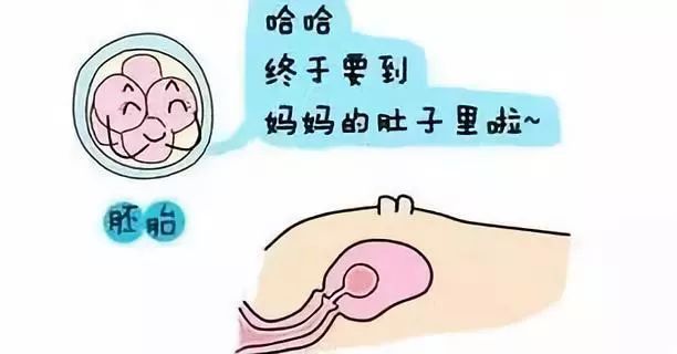 胎位不正