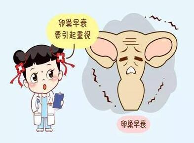 怀孕初期