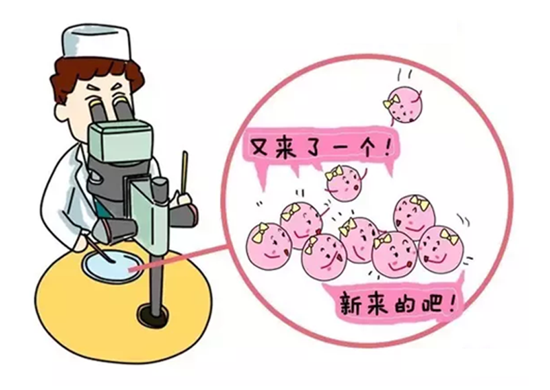 小产权房