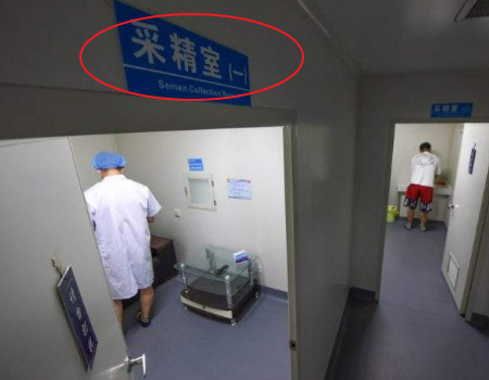 临沂试管