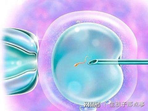 捐卵