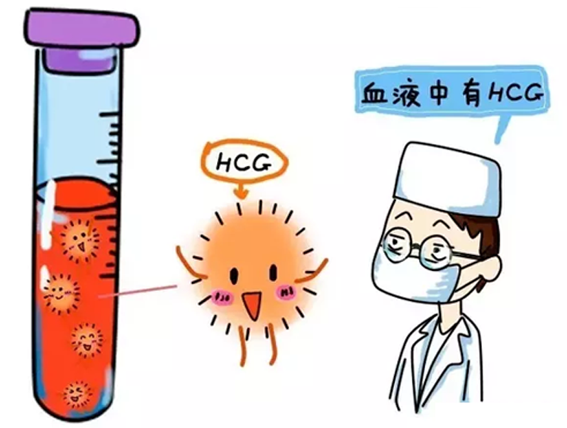 卵子捐赠